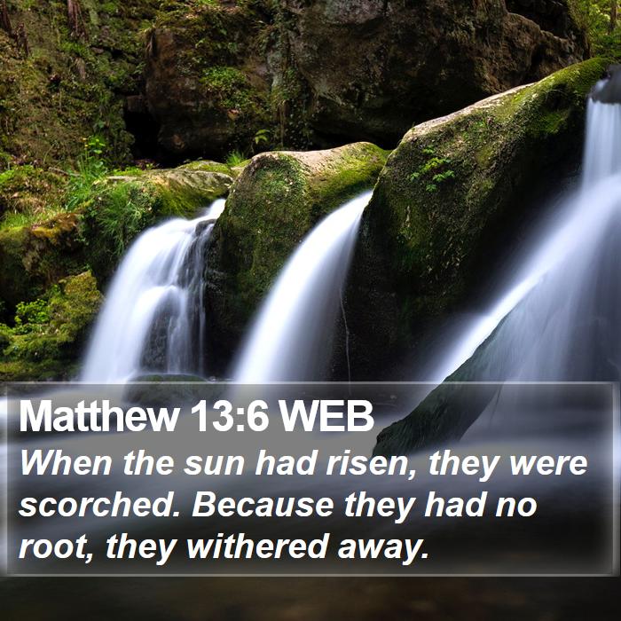 Matthew 13:6 WEB Bible Study