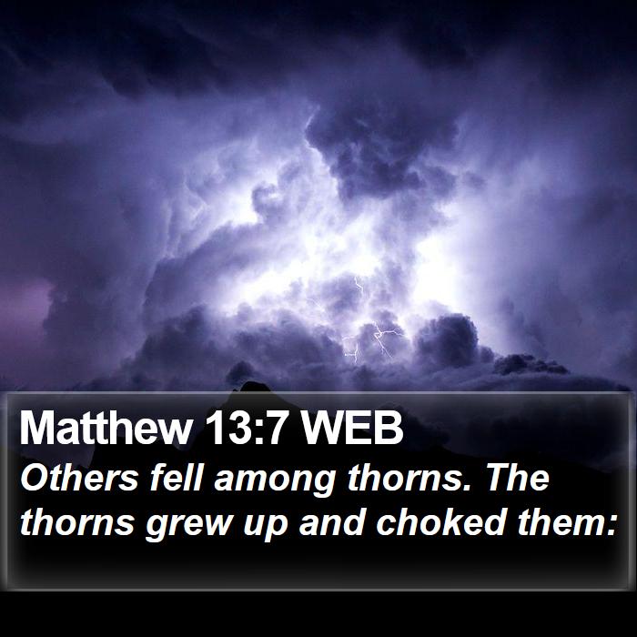 Matthew 13:7 WEB Bible Study