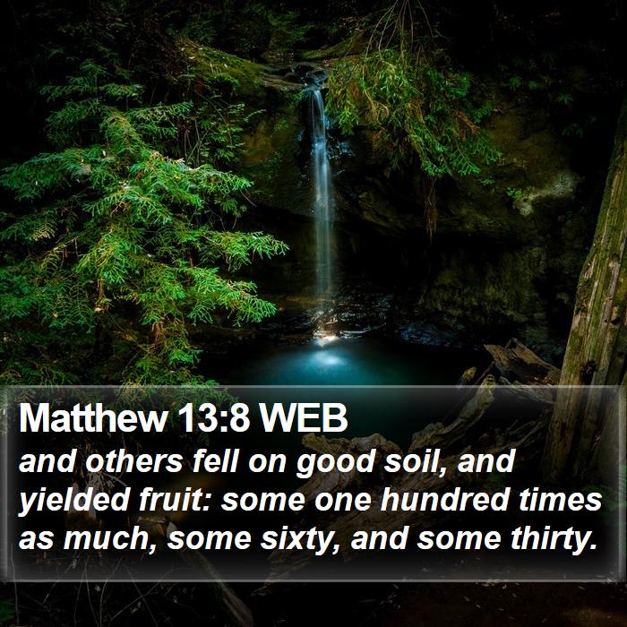 Matthew 13:8 WEB Bible Study