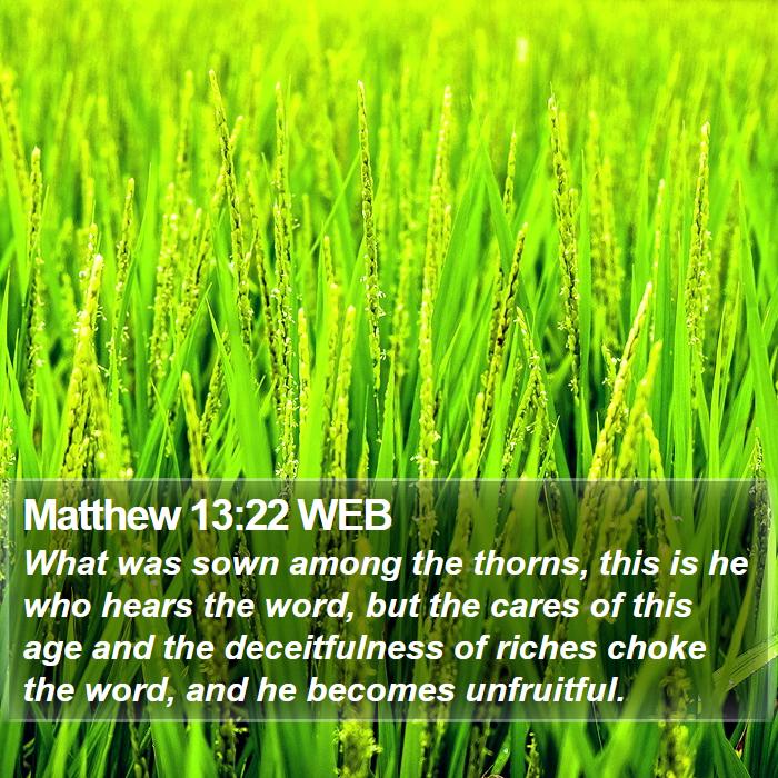 Matthew 13:22 WEB Bible Study