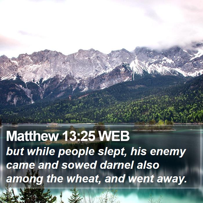 Matthew 13:25 WEB Bible Study