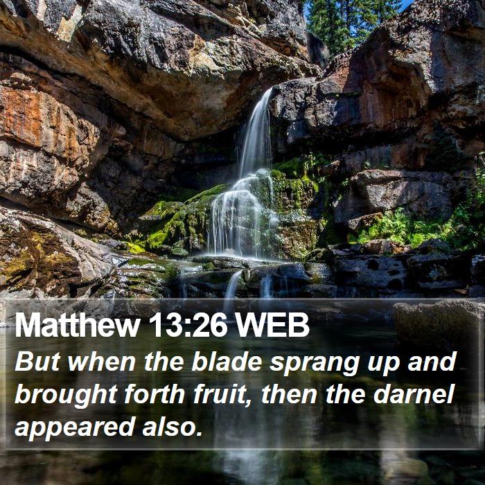 Matthew 13:26 WEB Bible Study