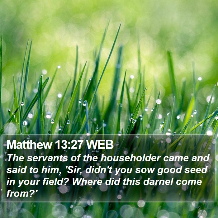 Matthew 13:27 WEB Bible Study