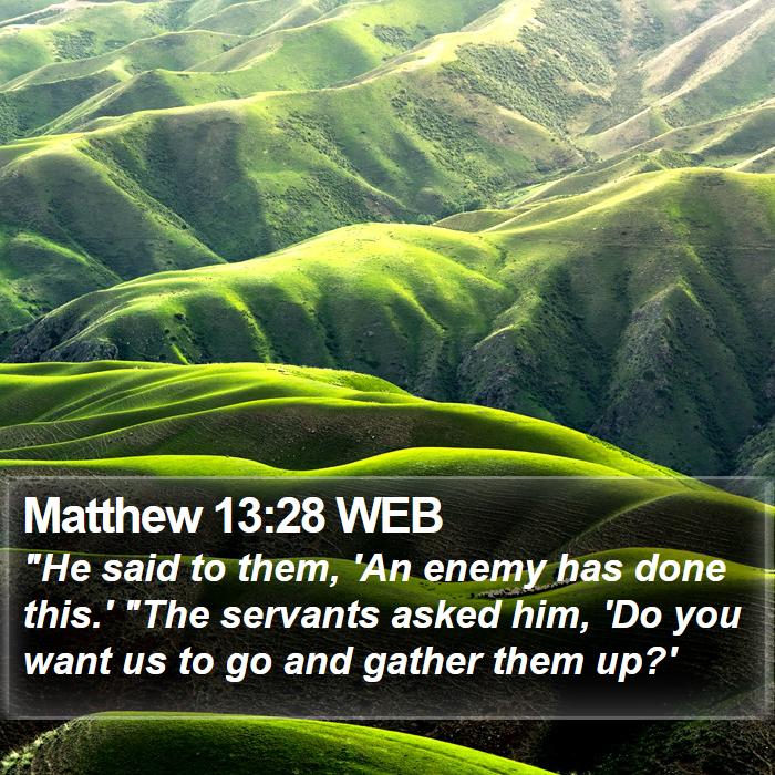 Matthew 13:28 WEB Bible Study