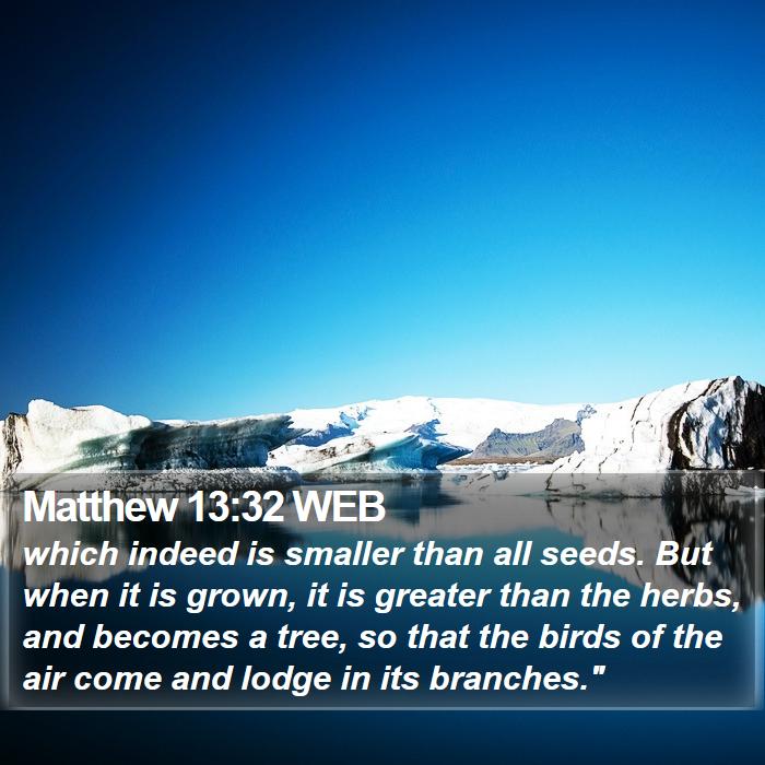 Matthew 13:32 WEB Bible Study