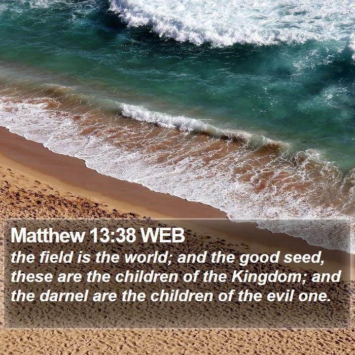 Matthew 13:38 WEB Bible Study