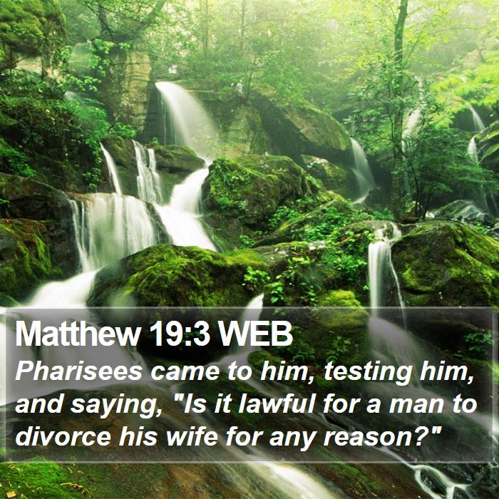 Matthew 19:3 WEB Bible Study