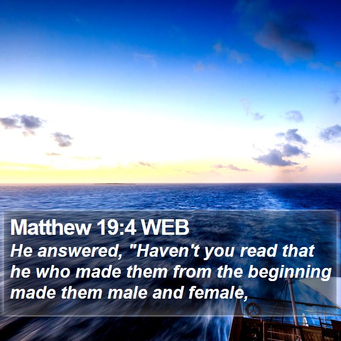 Matthew 19:4 WEB Bible Study