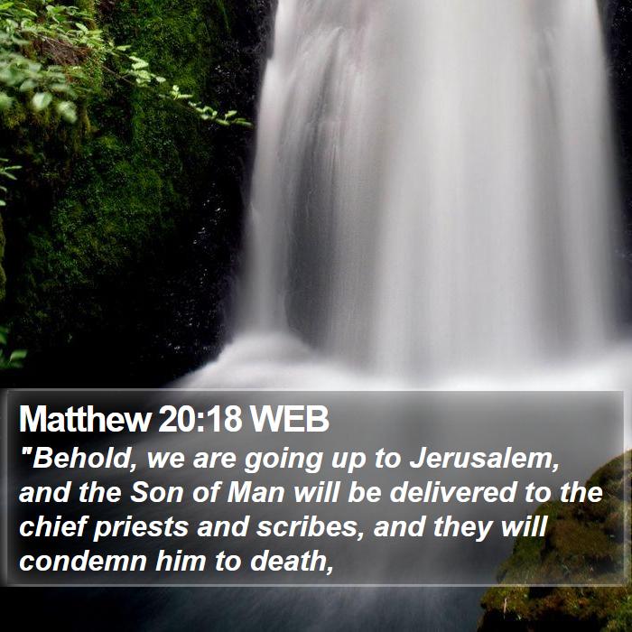 Matthew 20:18 WEB Bible Study