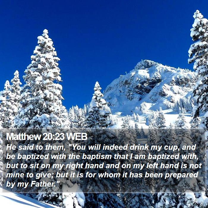 Matthew 20:23 WEB Bible Study