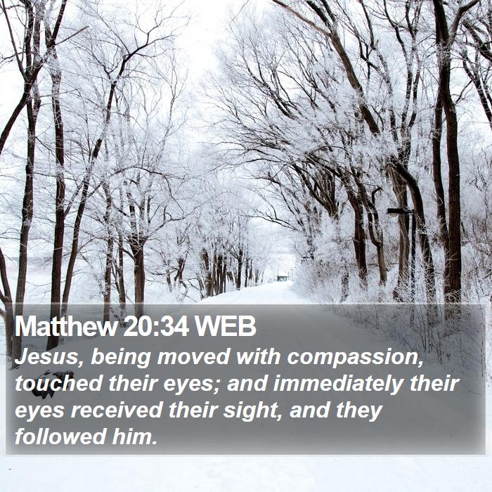 Matthew 20:34 WEB Bible Study