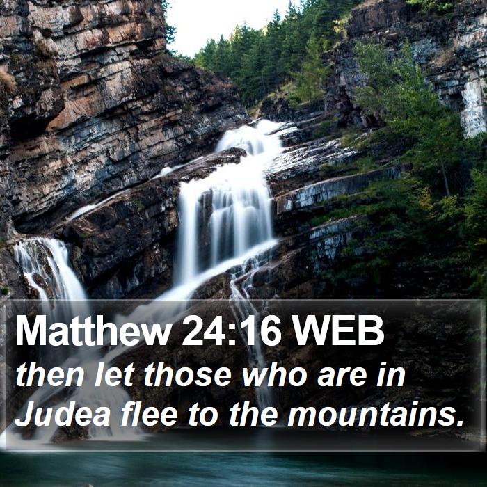 Matthew 24:16 WEB Bible Study