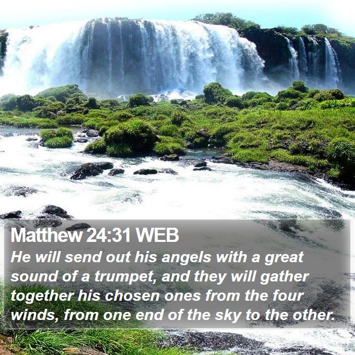 Matthew 24:31 WEB Bible Study