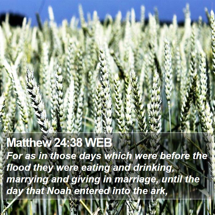 Matthew 24:38 WEB Bible Study