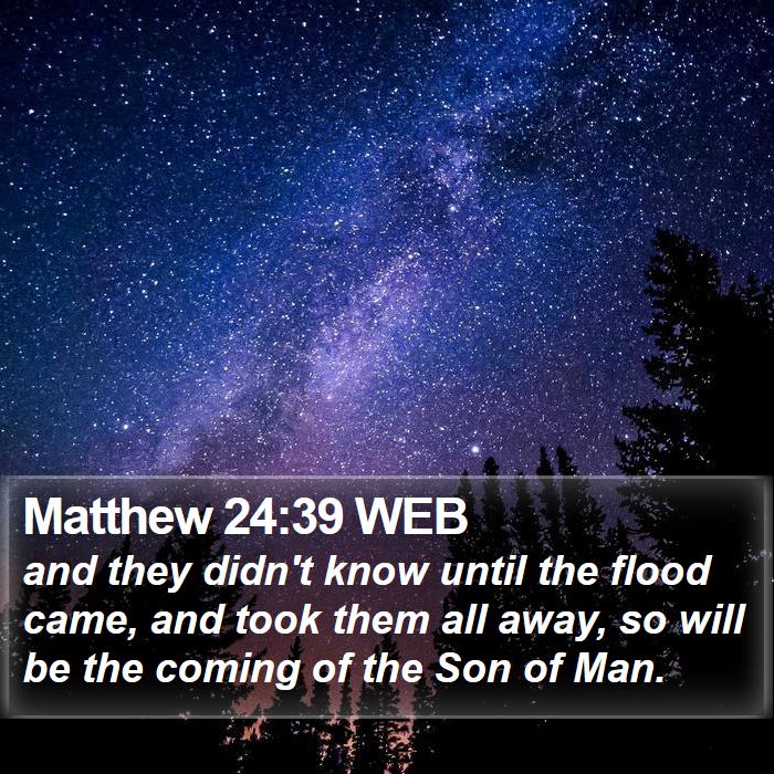 Matthew 24:39 WEB Bible Study