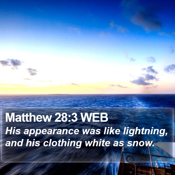 Matthew 28:3 WEB Bible Study