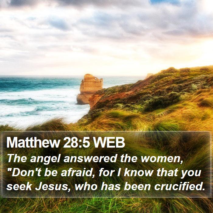 Matthew 28:5 WEB Bible Study