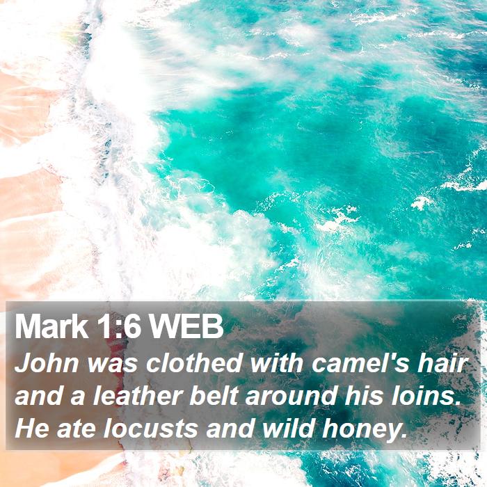 Mark 1:6 WEB Bible Study