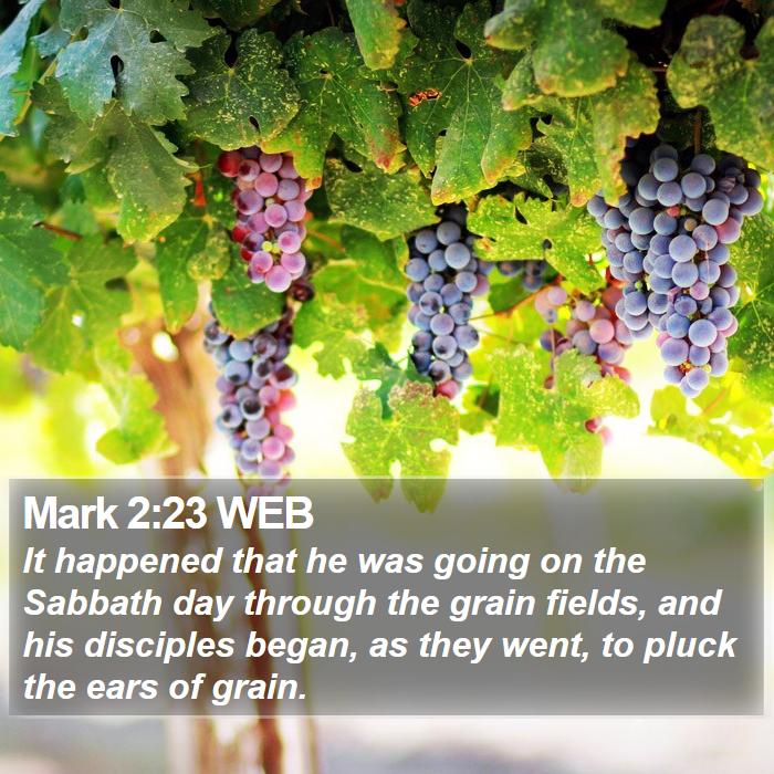 Mark 2:23 WEB Bible Study