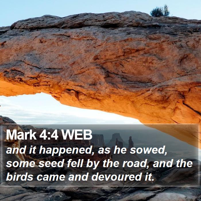 Mark 4:4 WEB Bible Study