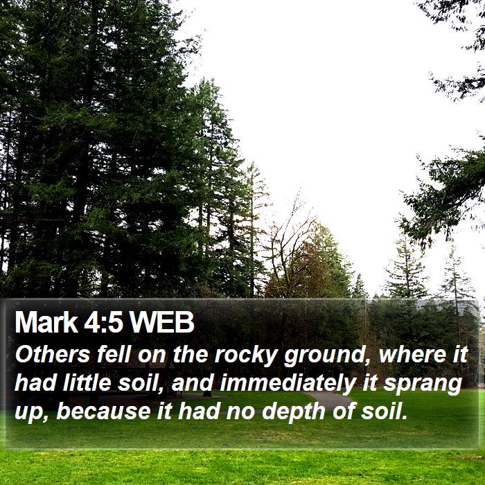 Mark 4:5 WEB Bible Study