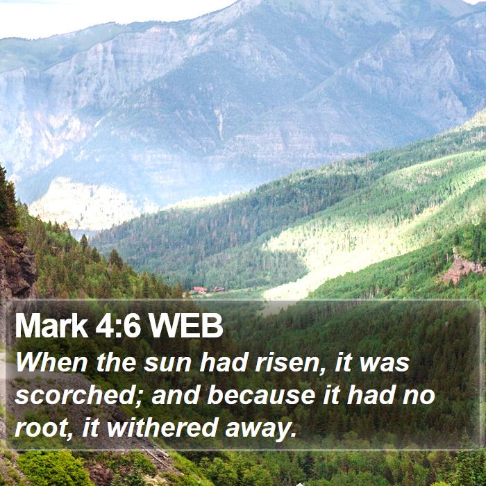 Mark 4:6 WEB Bible Study