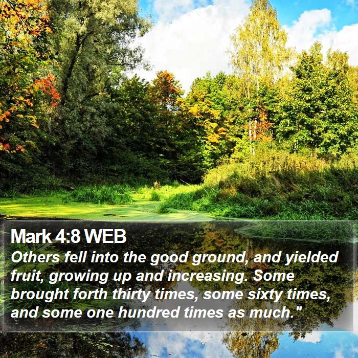 Mark 4:8 WEB Bible Study