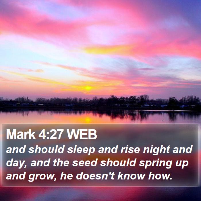 Mark 4:27 WEB Bible Study