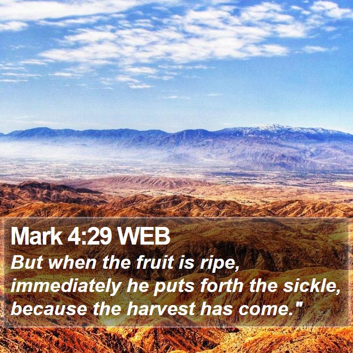 Mark 4:29 WEB Bible Study