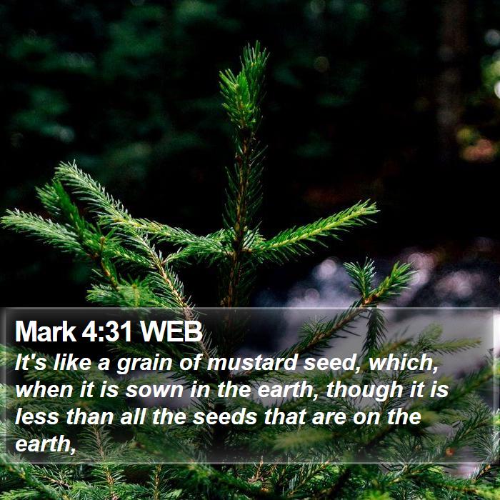 Mark 4:31 WEB Bible Study