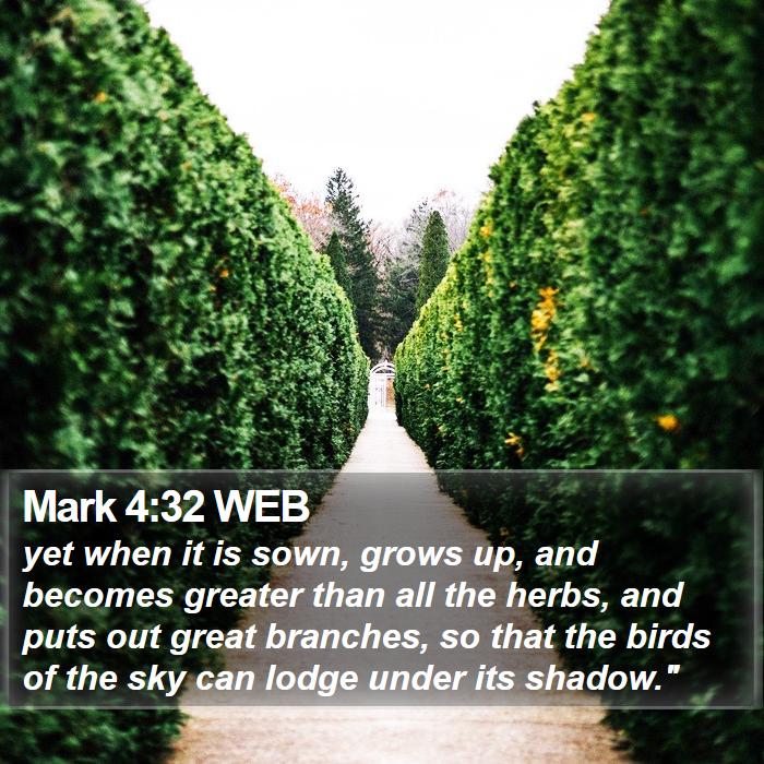 Mark 4:32 WEB Bible Study