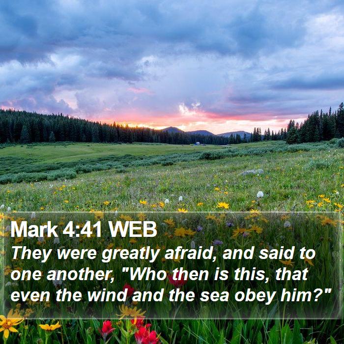 Mark 4:41 WEB Bible Study