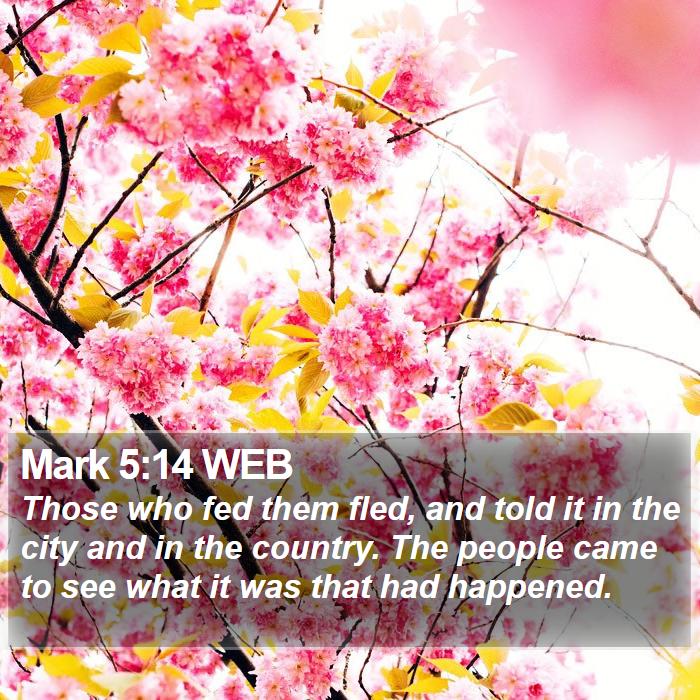 Mark 5:14 WEB Bible Study