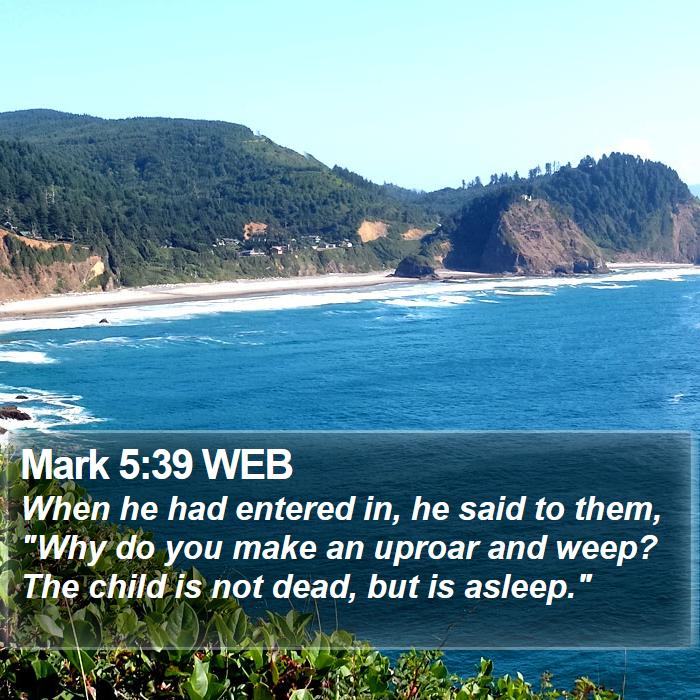 Mark 5:39 WEB Bible Study