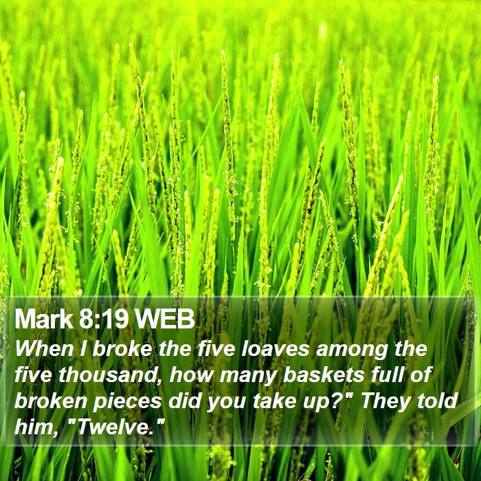 Mark 8:19 WEB Bible Study