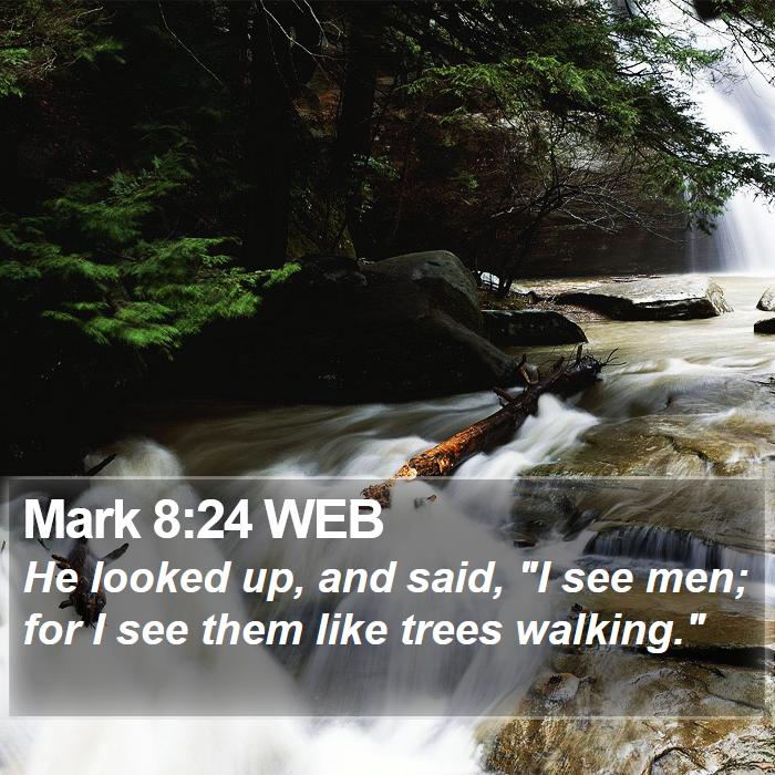 Mark 8:24 WEB Bible Study