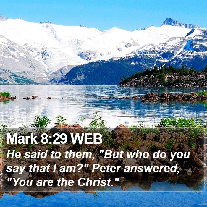 Mark 8:29 WEB Bible Study