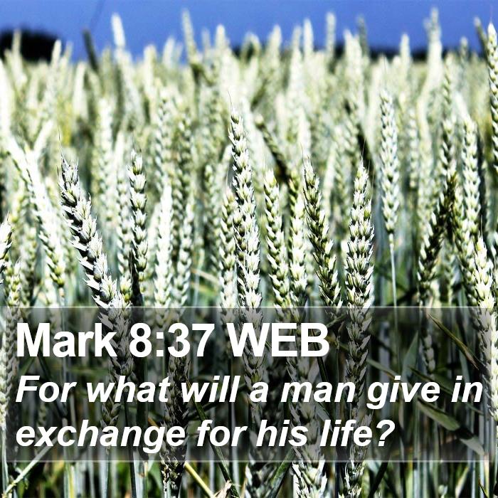 Mark 8:37 WEB Bible Study