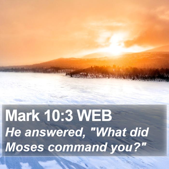 Mark 10:3 WEB Bible Study