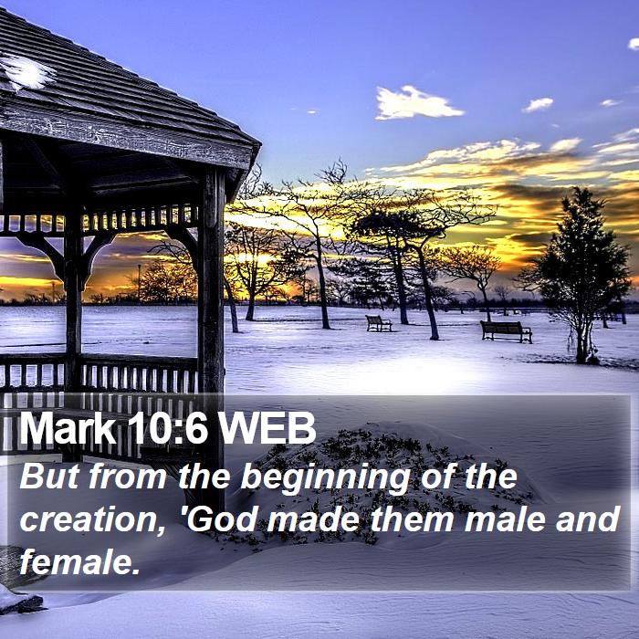 Mark 10:6 WEB Bible Study