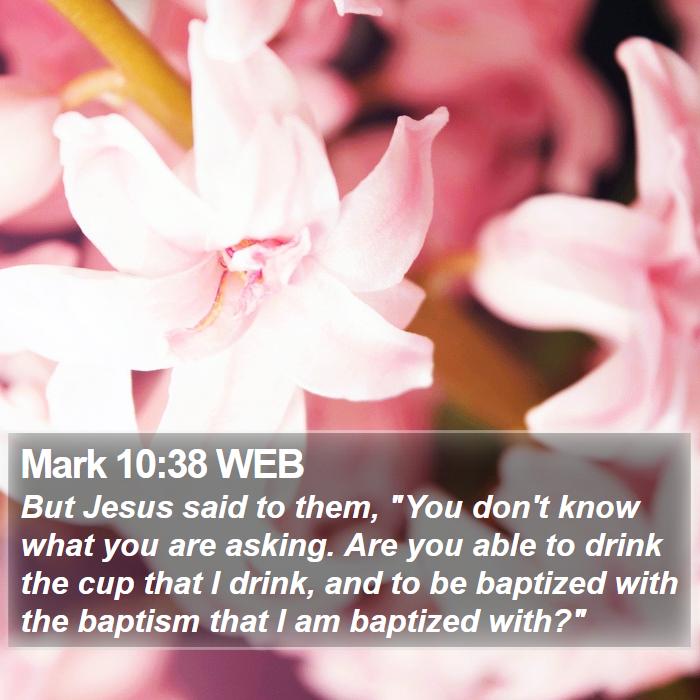 Mark 10:38 WEB Bible Study