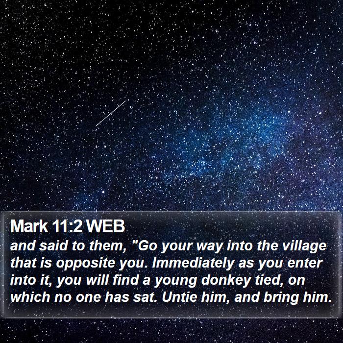 Mark 11:2 WEB Bible Study