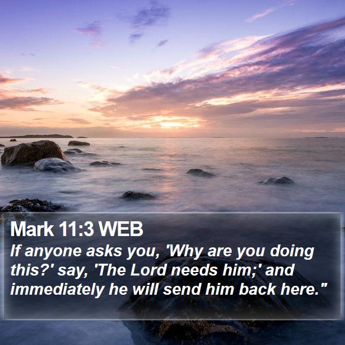 Mark 11:3 WEB Bible Study