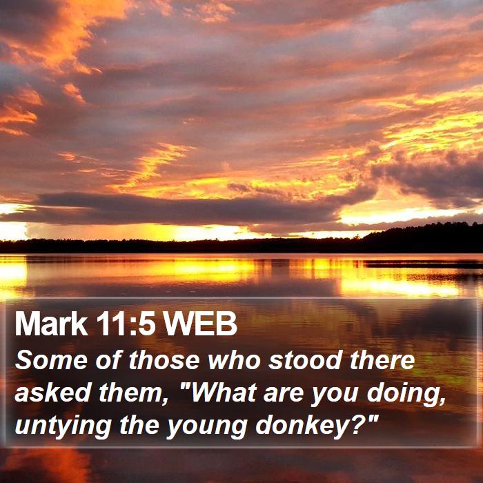 Mark 11:5 WEB Bible Study