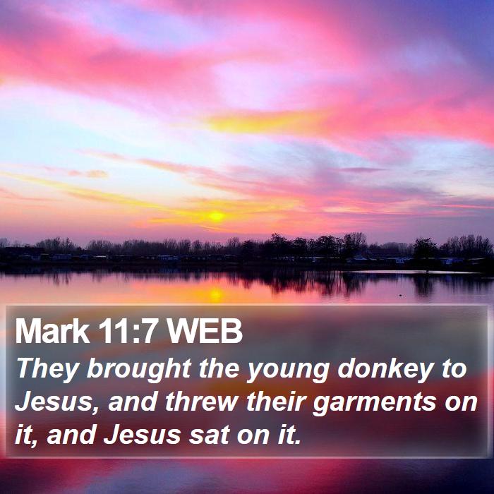 Mark 11:7 WEB Bible Study