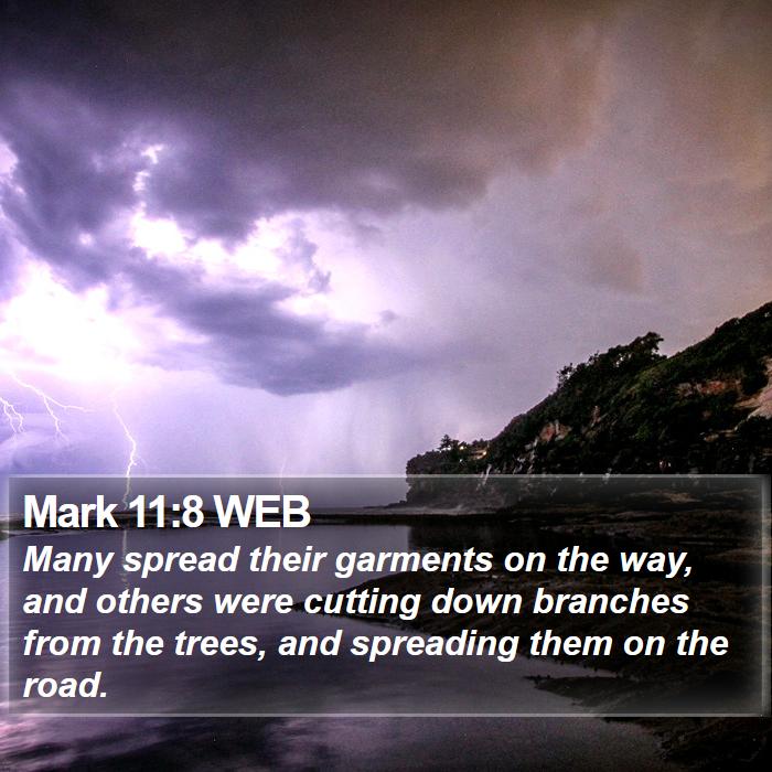 Mark 11:8 WEB Bible Study