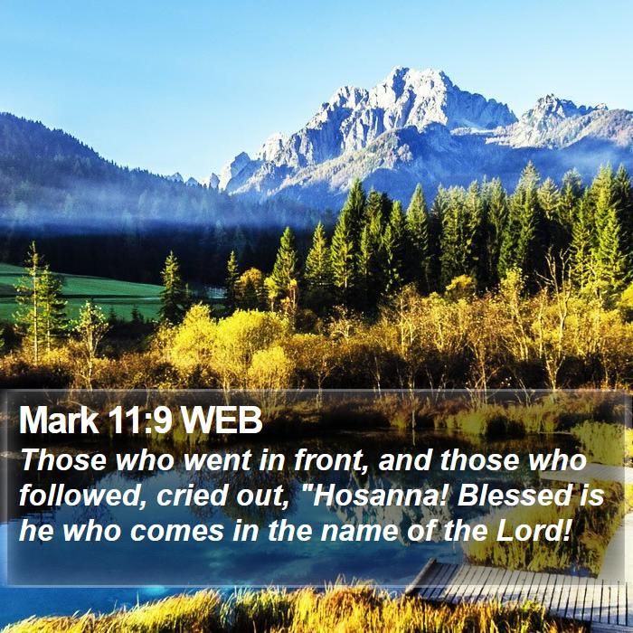 Mark 11:9 WEB Bible Study