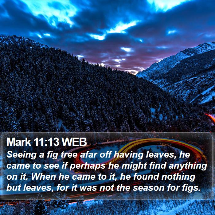 Mark 11:13 WEB Bible Study