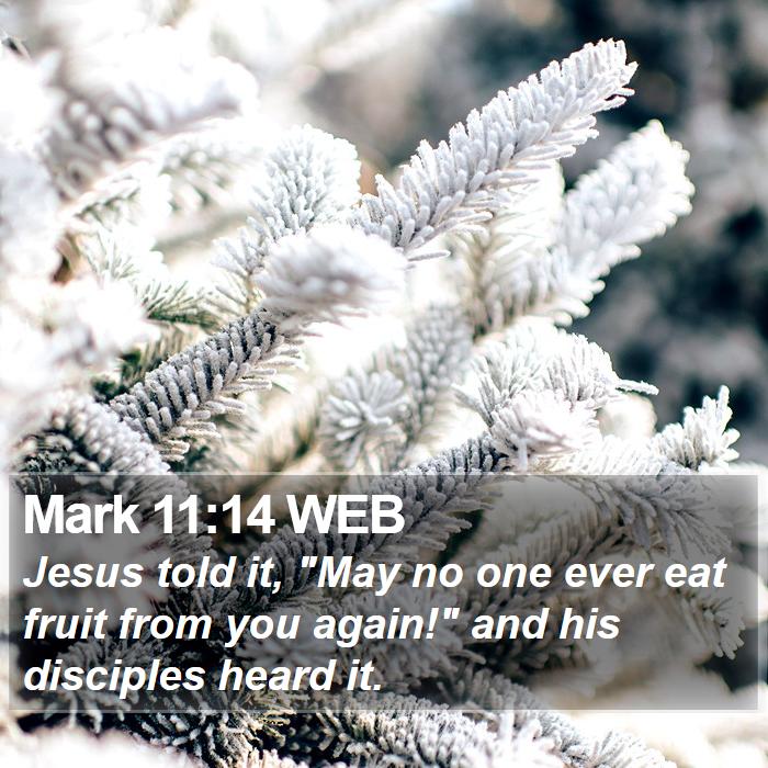 Mark 11:14 WEB Bible Study