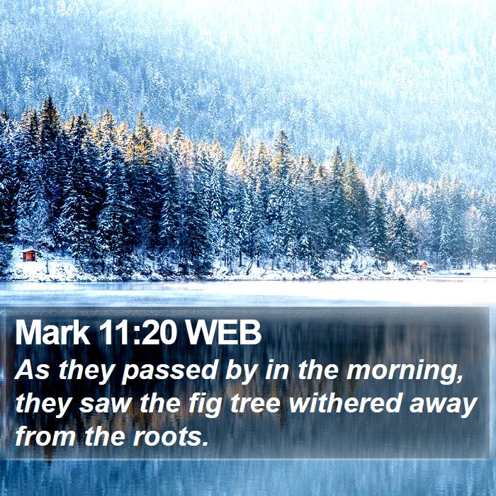 Mark 11:20 WEB Bible Study